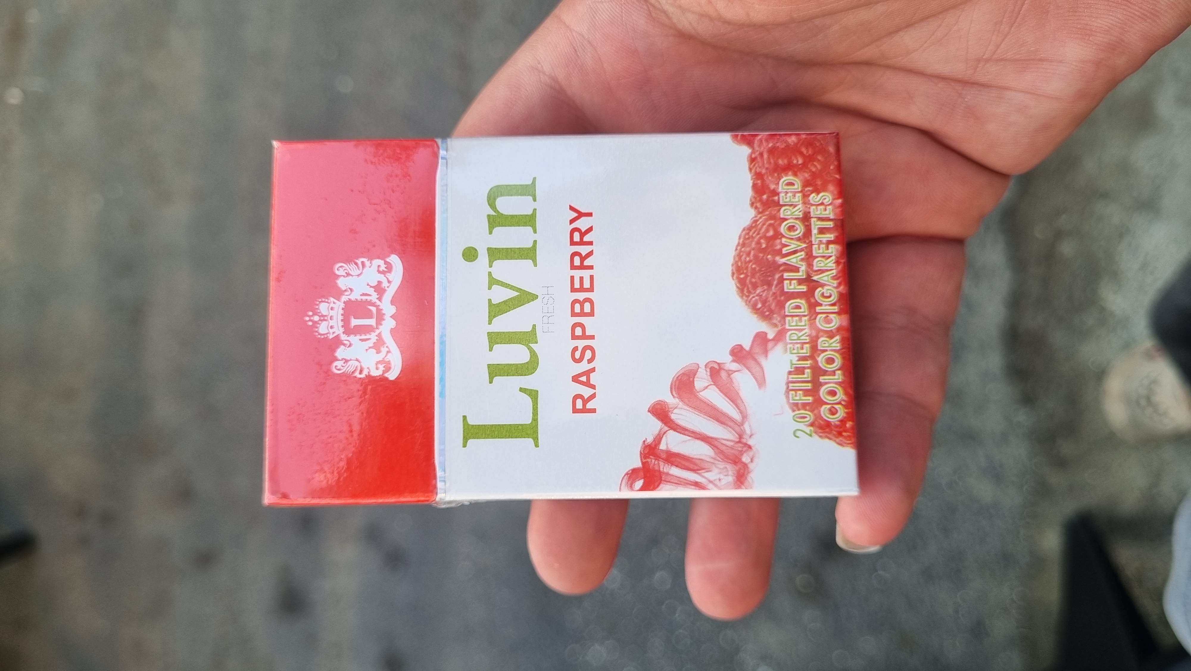 لاوین طمع توت